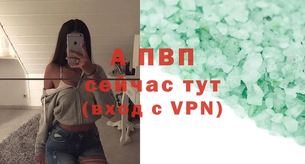 сатива Богородицк
