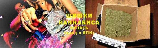 сатива Богородицк