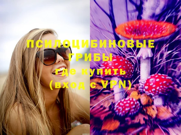прущая мука Бронницы